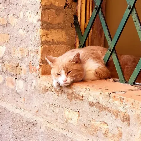 Lejlighed Sun Moon *