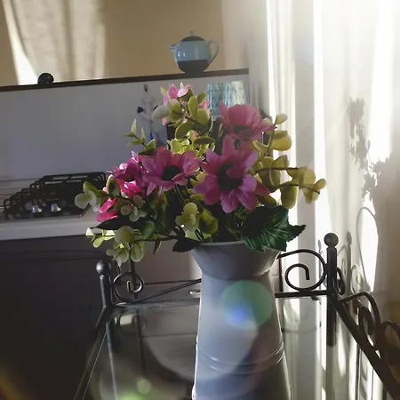 Sun Moon Lejlighed *